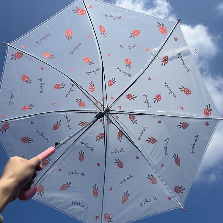 Fruit Print Transparent Umbrella